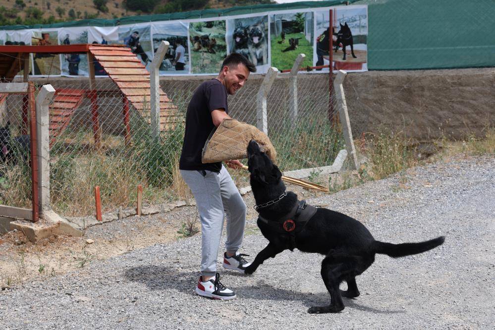 Konya’da zorlu eğitimden geçirilen köpekler afetlerde görev alıyor 7